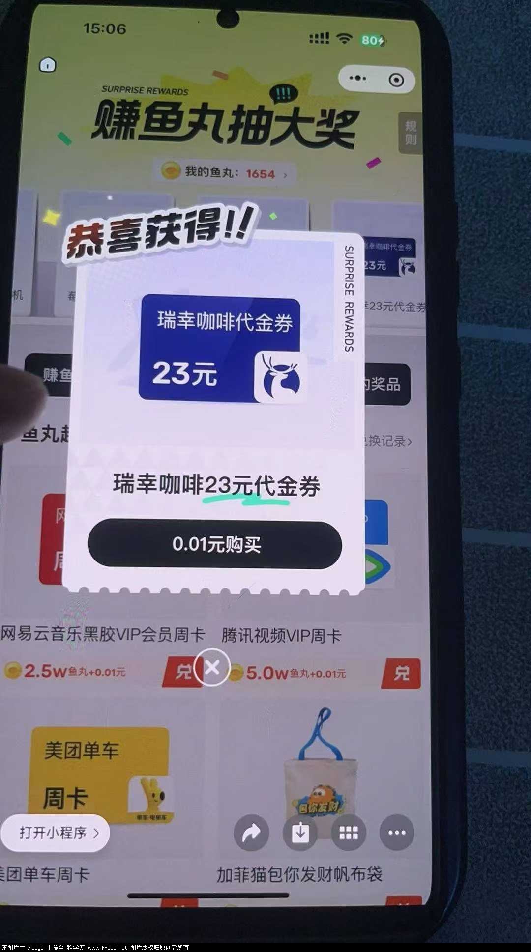 2.jpg